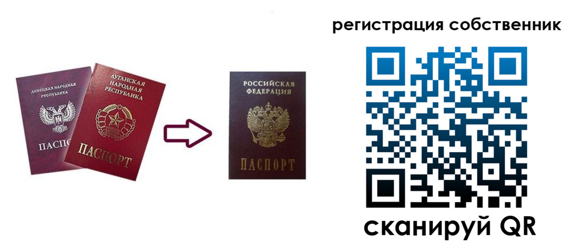прописка для школы в Ясном